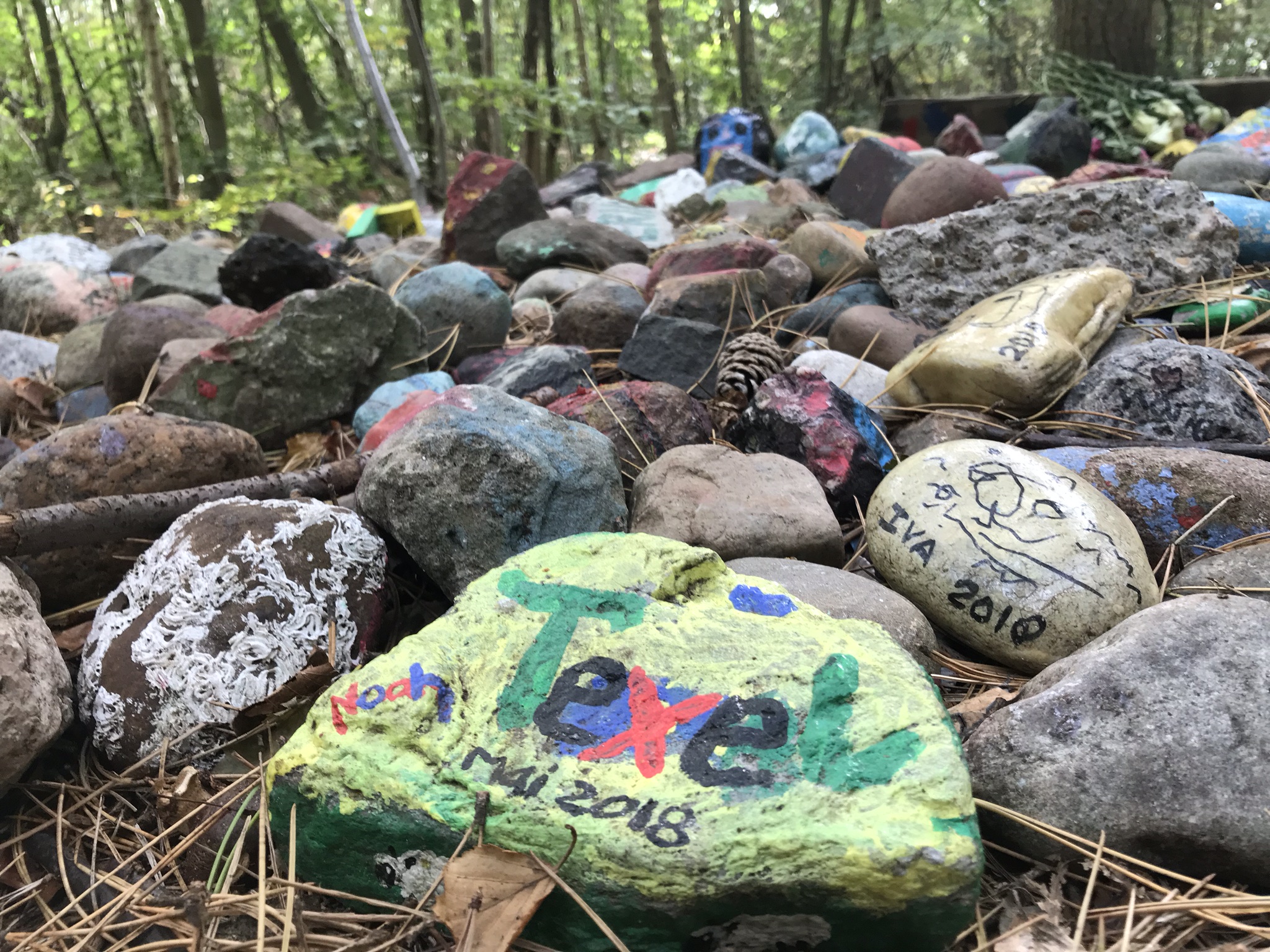 Texel was fantastisch